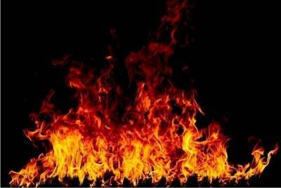 В Тосно присяжные признали женщину виновной в убийстве двух подруг и сожжении их тел - spb.mk.ru - Ленинградская обл.