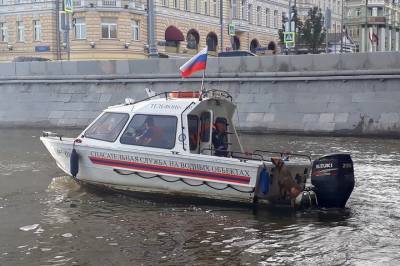 Утопающая женщина была спасена в центре столицы из Москвы-реки - vm.ru - Москва