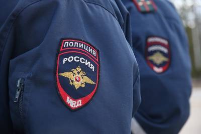 Ирина Волк - Мошенники по поддельным документам получили 30 миллионов рублей - vm.ru - Москва