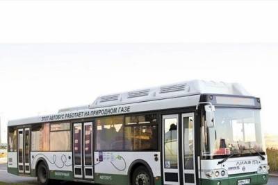Костромские автобусы перейдут с бензина на газ - kostroma.mk.ru - Костромская обл.