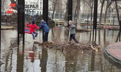 В Кургане решили не откачивать лужу в Горсаду, а огородить ее - fedpress.ru - Курганская обл.