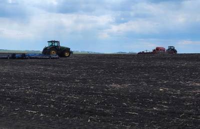 Ольгополь отсеяла ранние зерновые. Под кукурузу готовит 30% своих полей - agroportal.ua