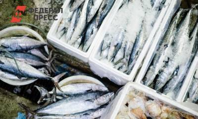 Николай Цуканов - Фонд развития моногородов запустил в Тулуне новое производство - fedpress.ru - Иркутск