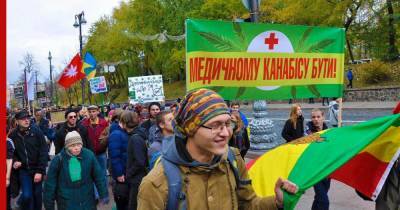 На Украине легализовали применение марихуаны в медицинских целях - profile.ru - Украина