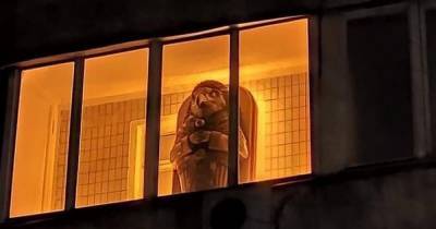 "Надеюсь, внутри пусто": в Киеве на балконе заметили древнеегипетский саркофаг (фото) - focus.ua - Киев - Египет