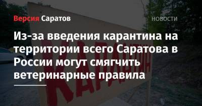 Из-за введения карантина на территории всего Саратова в России могут смягчить ветеринарные правила - nversia.ru - Саратов