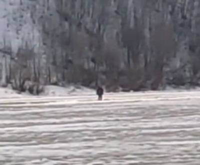 Нижегородские спасатели сняли рыбака с дрейфующей льдины на Оке - vgoroden.ru - Нижегородская обл.