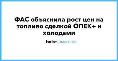 ФАС объяснила рост цен на топливо сделкой ОПЕК+ и холодами - forbes.ru - Россия - Московская обл.
