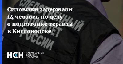 Силовики задержали 14 человек по делу о подготовке теракта в Кисловодске - nsn.fm - Кисловодск - Следственный Комитет