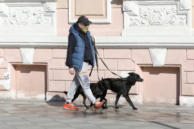 Геннадий Онищенко - Названо число москвичей с иммунитетом к коронавирусу - tvc.ru - Москва