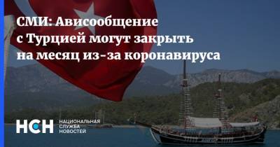 СМИ: Ависообщение с Турцией могут закрыть на месяц из-за коронавируса - nsn.fm - Турция