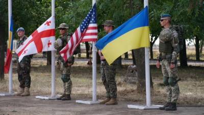 Владимир Зеленский - Жители Германии уверены, что Украине нет места в НАТО - riafan.ru - Берлин