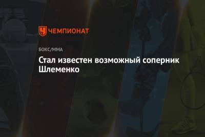 Александр Шлеменко - Сантос Марсио - Стал известен возможный соперник Шлеменко - championat.com - Бразилия - Владивосток