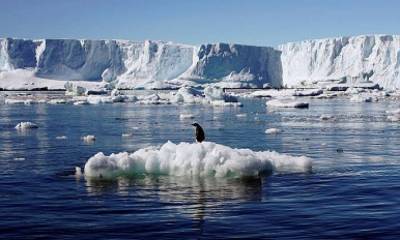 Антарктида - Ученые предупредили о сокрушительной катастрофе в Антарктике - lenta.ua
