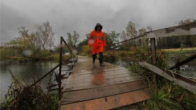 Росприроднадзор установил размыв береговой линии реки Ижора в Тосненском районе - ivbg.ru - Украина
