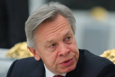 Владимир Зеленский - Алексей Пушков - Пушкова удивила реакция Зеленского на марш неонацистов в честь дивизии СС - lenta.ru - Киев