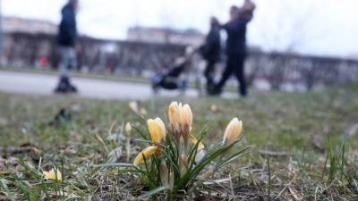 Константин Салаев - Москвичам рассказали о графике работы городских учреждений в майские праздники - nation-news.ru - Москва