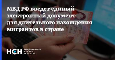 МВД РФ введет единый электронный документ для длительного нахождения мигрантов в стране - nsn.fm