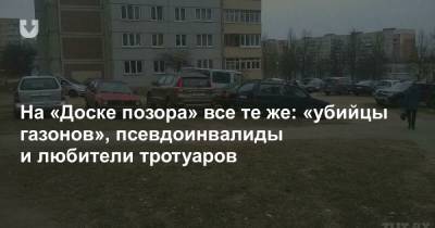 На «Доске позора» все те же: «убийцы газонов», псевдоинвалиды и любители тротуаров - news.tut.by