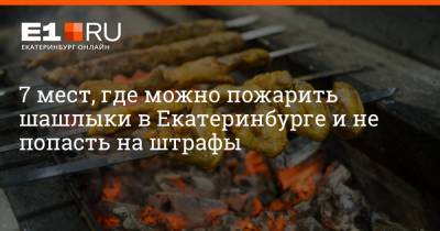 7 мест, где можно пожарить шашлыки в Екатеринбурге и не попасть на штрафы - e1.ru - Екатеринбург