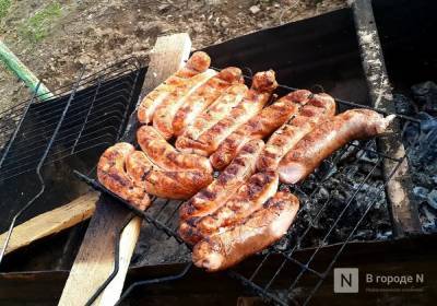 Роскачество напомнило нижегородцам, где можно жарить шашлык - vgoroden.ru - Нижегородская обл.