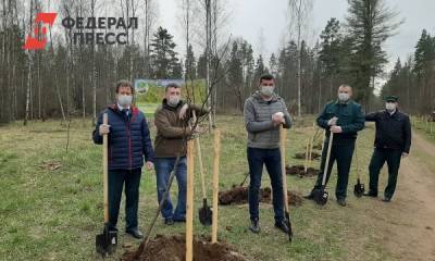 Кто и зачем высаживает «Сады памяти» в Ленинградской области - fedpress.ru - Ленинградская обл. - Севастополь
