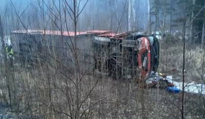 15 пострадавших в ДТП под Хабаровском доставлены в больницы — МЧС - eadaily.com - Хабаровский край - Хабаровск