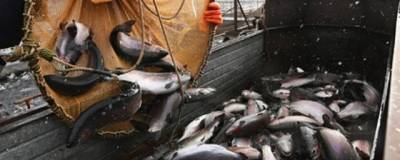 Таможня Китая выявила зараженную ковидом продукцию на российском судне - runews24.ru
