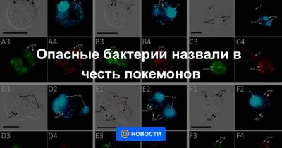Анна Лысенко - Опасные бактерии назвали в честь покемонов - news.mail.ru - county Frontier