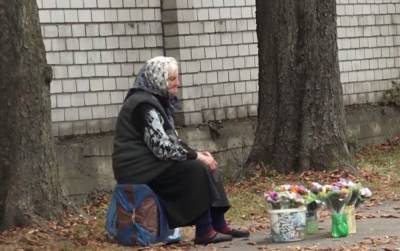 "Дочь причастна к ДТП": мошенник выманил 25 тысяч у пожилой харьковчанки - kharkov.politeka.net - Харьковская обл. - Харьков
