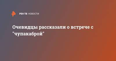 Очевидцы рассказали о встрече с "чупакаброй" - ren.tv - Боливия