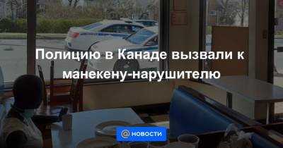 Полицию в Канаде вызвали к манекену-нарушителю - news.mail.ru - Канада - шт. Калифорния