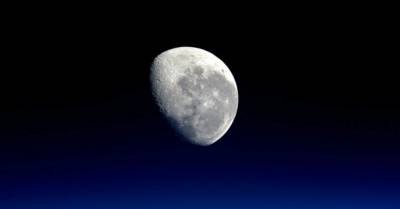 Илон Маск - NASA приостановило сделку со SpaceX на $3 млрд по высадке людей на Луну - delo.ua - Reuters