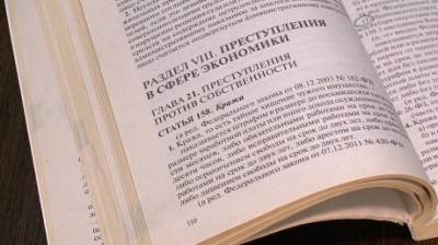 Добытые 7 000 рублей будут стоить пензенцу двух лет свободы - penzainform.ru - Пенза