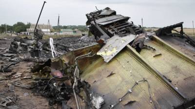 Сергей Дубинский - Нидерландский журналист рассказал о фальсификации улик по делу MH17 - inforeactor.ru - Куала-Лумпур - Амстердам