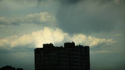 Из-за ветра и дождя в Москве объявили желтый уровень погодной опасности - mir24.tv - Москва - Московская обл.
