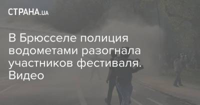 В Брюсселе полиция водометами разогнала участников фестиваля. Видео - strana.ua - Брюссель - Brussels