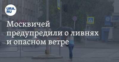 Москвичей предупредили о ливнях и опасном ветре - ura.news - Москва - Московская обл. - окр. Янао