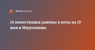 14 палестинцев ранены в ночь на 10 мая в Иерусалиме - ren.tv - Каир - Иерусалим - Восточный Иерусалим