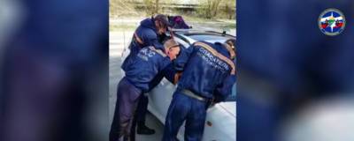 Годовалого ребёнка вызволили из запертой машины в Новосибирске - runews24.ru - Новосибирск