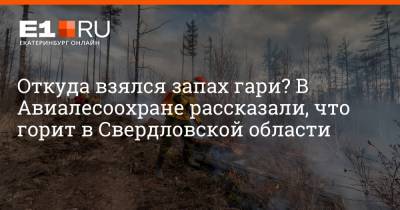 Откуда взялся запах гари? В Авиалесоохране рассказали, что горит в Свердловской области - e1.ru - Екатеринбург - Свердловская обл.