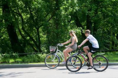 Сезон велоэкскурсий откроется в парке «Кузьминки-Люблино» 12 мая - vm.ru - Москва