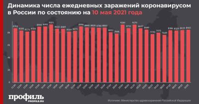 За сутки в России выявили 8465 новых случаев COVID-19 - profile.ru - Москва - Россия - Санкт-Петербург - Московская обл.