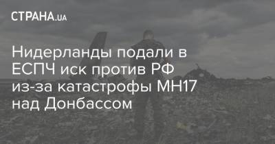 Нидерланды подали в ЕСПЧ иск против РФ из-за катастрофы МН17 над Донбассом - strana.ua - Голландия - Амстердам