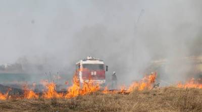 На Алтае за сутки случилось 116 пожаров - runews24.ru - Барнаул - Алтайский край - респ. Алтай - Рубцовск