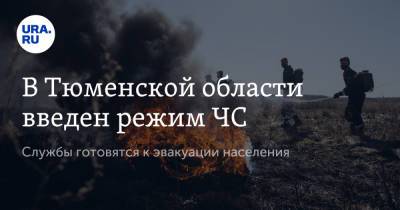 Александр Моор - В Тюменской области введен режим ЧС. Службы готовятся к эвакуации населения - ura.news - Тюменская обл.