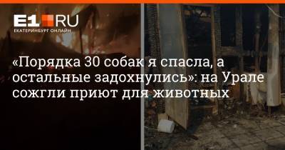 «Порядка 30 собак я спасла, а остальные задохнулись»: на Урале сожгли приют для животных - e1.ru - Екатеринбург