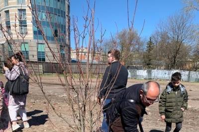 Петербуржцы начали создавать сад Памяти - spb.mk.ru - район Центральный