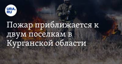 Пожар приближается к двум поселкам в Курганской области. Фото - ura.news - Курганская обл.
