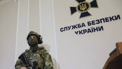В СБУ нашли «российский след» в антивенгерских провокациях - anna-news.info - Луганск - Закарпатская обл.